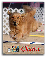 Chance Jumping